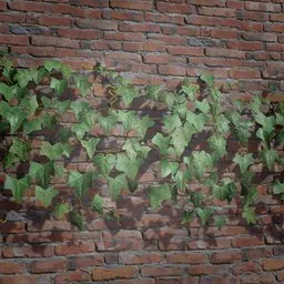 High-quality 3D ivy model displaying intricate textures, ideal for game environments and Blender 3D artists.