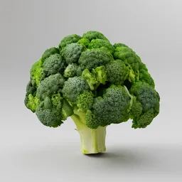 Broccoli