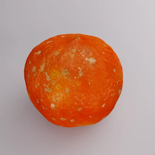 Tangerine fruit (scan)
