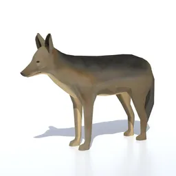 Low Poly Jackal