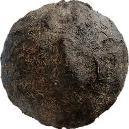 Burned Ground 01