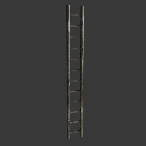 Old Wooden Ladder