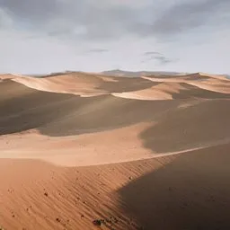 Whispers of the Endless Dunes
