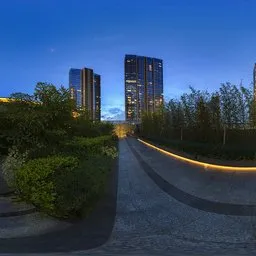Night path