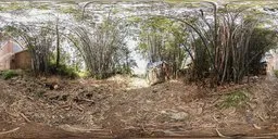 360-degree HDR panorama of bamboo grove with traditional structures and pastoral scenery under blue sky.