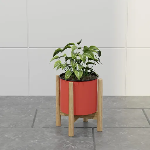 Modern Red Planter with Tropical Plant