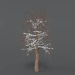 Tree With Snow