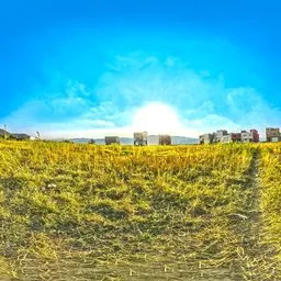 Open Field City Edge