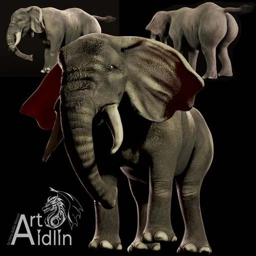 Elephant