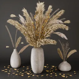 Sj-Dried pampas elegance