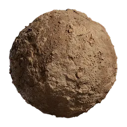 Riverbed Soil Surface