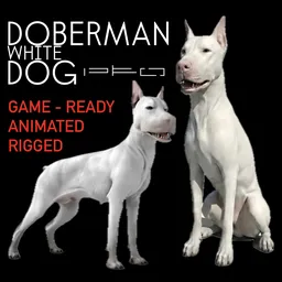 White Doberman Dog