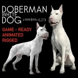White Doberman Dog