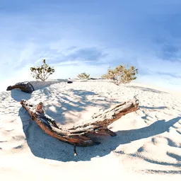 Supercar on a Desert