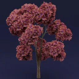 Flowered orange leaved tree