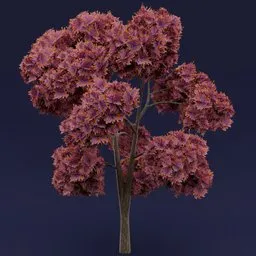 Flowered orange leaved tree