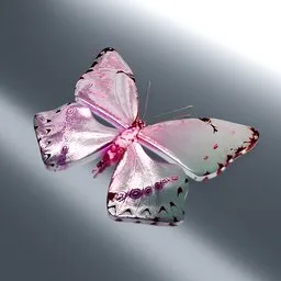 Butterfly with white and pink wings