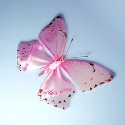 Butterfly with white and pink wings