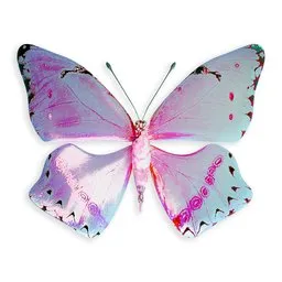 Butterfly with white and pink wings