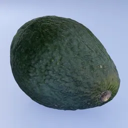 Avocado fruit green alligator pear scan