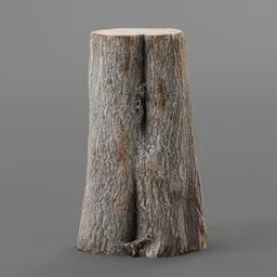 Detailed low poly 3D model of a cut tree trunk, optimized for Blender rendering, with textured bark.