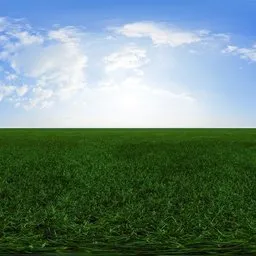 Green grass cloudy blue sky pure sky