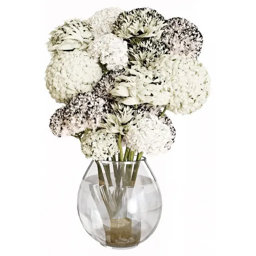 Bouquet