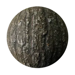 High-resolution seamless PBR bark texture for 3D modeling and rendering in Blender and other software.