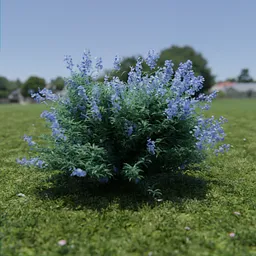 Realistic 3D model of a flowering shrub, optimized for Blender, perfect for nature scenes.