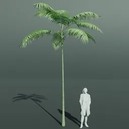 Tropical Palm Tree Medium