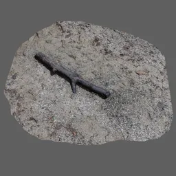 Wood Branch on Rocky Beach