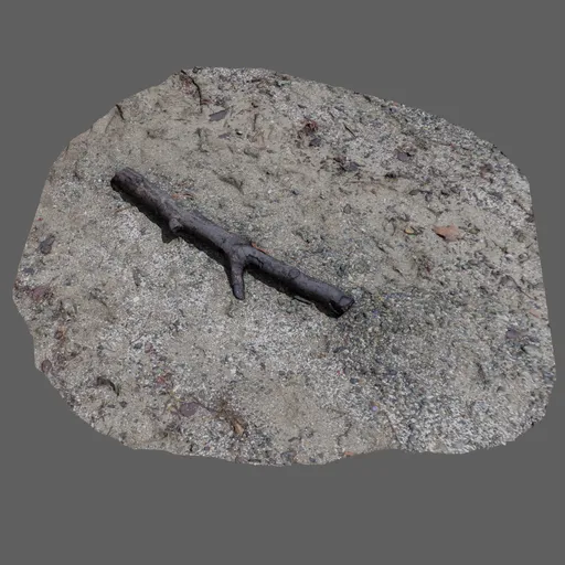 Wood Branch on Rocky Beach