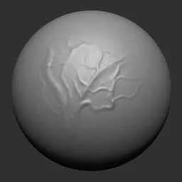 NS Veins thick complex