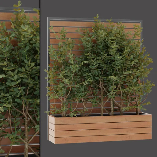 Wooden Planter Green Shrubs