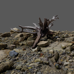 Detailed 3D scan model of weathered driftwood and coastal stones created for Blender rendering.