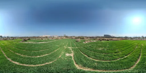 Farmland