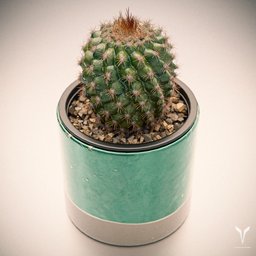 Realistic 3D model of spiny Ball Cactus in a green pot, created with Blender software.