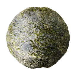 Rock
