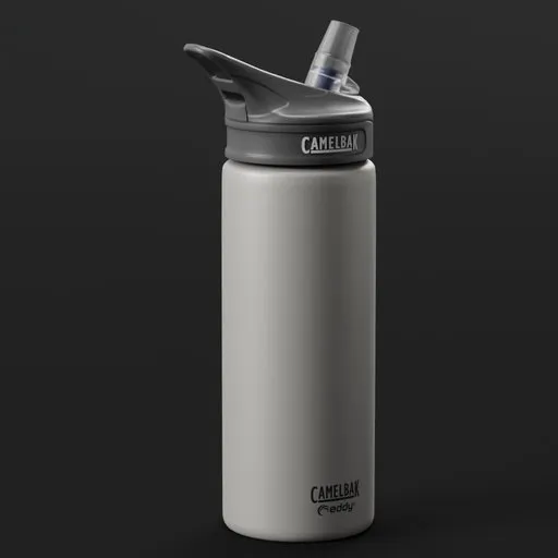 CamelBak Eddy Bottle