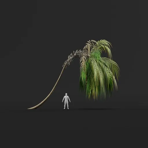 Palm Tree (Spring) - Medium Thin Drooping