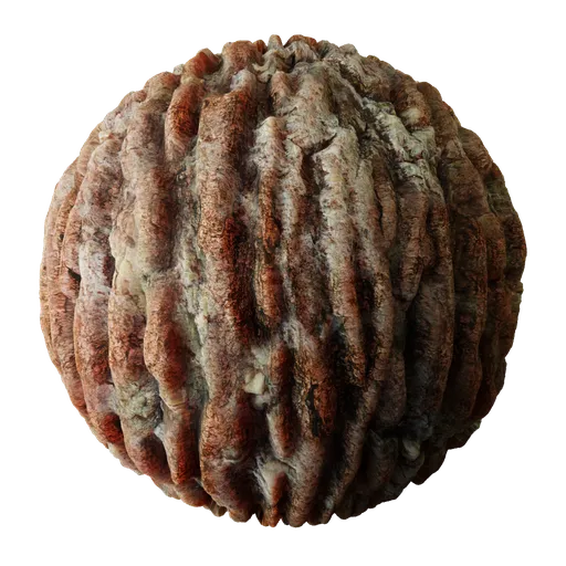 Tree Bark