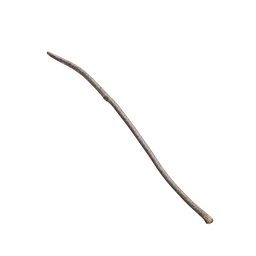 Debris and twigs