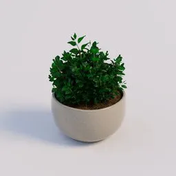 Detailed 3D model of potted kitchen herbs, ideal for Blender rendering and indoor nature scenes.