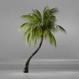 Coconut Tree Rigged and Animated