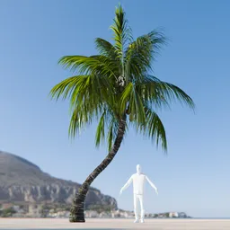 Coconut Tree Rigged and Animated