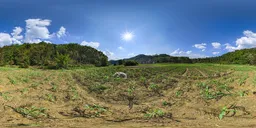 Fields during the day
