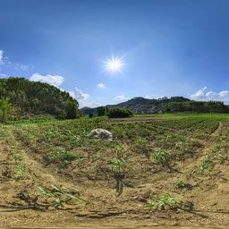 Fields during the day