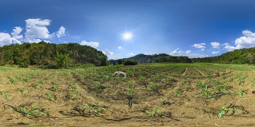 Fields during the day