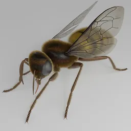 "Realistic Honey Bee 3D Model for Blender 3D - Fully Rigged with Stinger, Dynamic Hair, and Rigged Wings. Perfect for Hyperrealistic Animations and Renderings. Best Rendered in Cycles."
