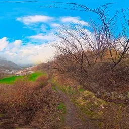 Green Mountain Orchard Spring Landscape